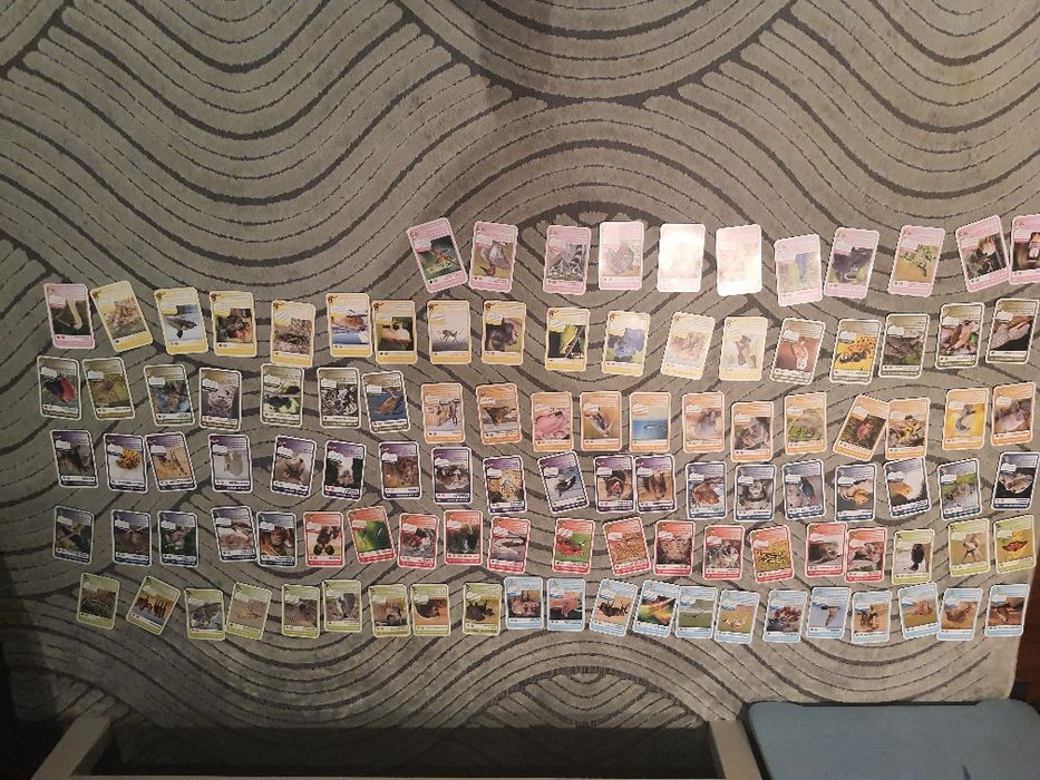 Super animais 1 completa