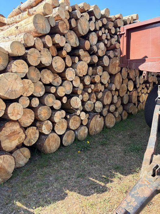 Drewno opałowe sosna sucha – wałki 1 m dostępne 20m3