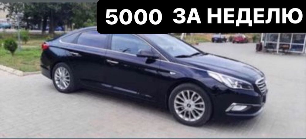 Комфортные свежие авто бизнес класса в АРЕНДУ за 5000 грн/неделя