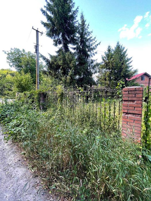 Будинок в селі Золота липа