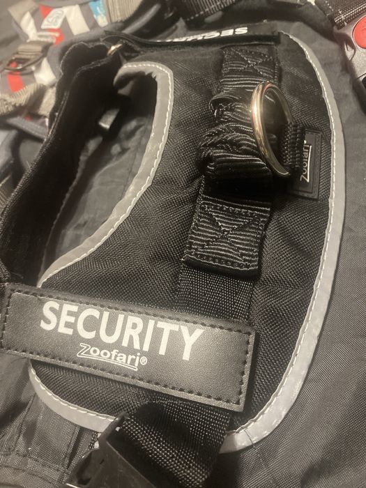 Шлеі для собак + нашийник