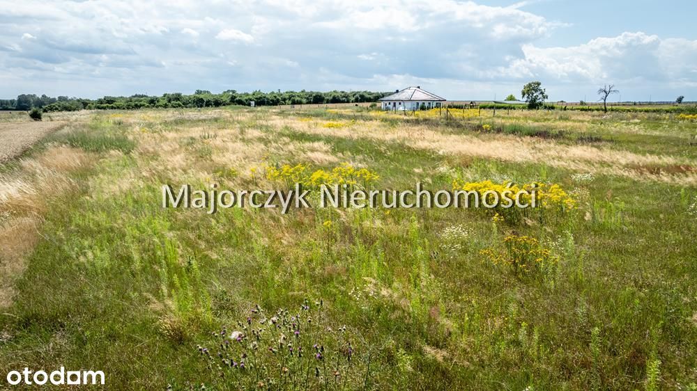 Działki budowlane Błotnica / Radomierz