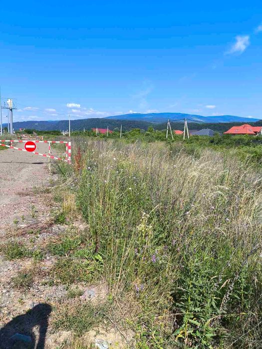 Продаж фасадної комерційної ділянки 32 сот під бізнес (траса Оноківці — Невицьке)