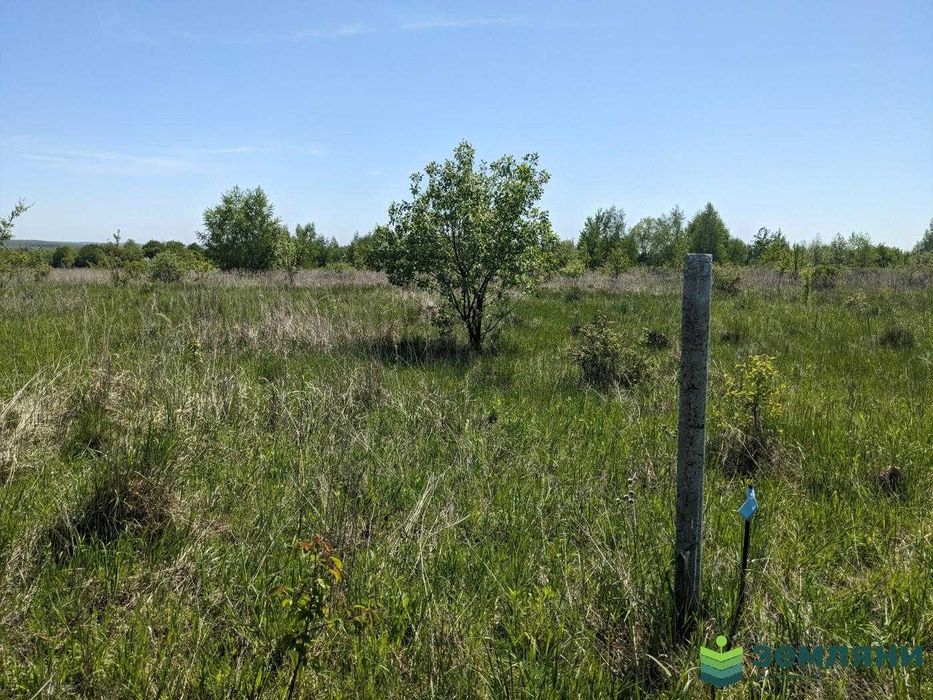Продається земельна ділянка 12 соток під будівництво в с.Колодіївка (5)