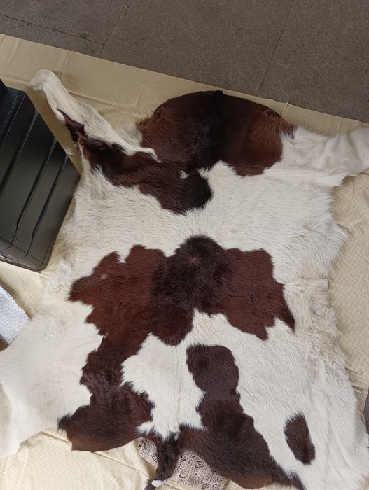 Pele verdadeira sem pouco uso