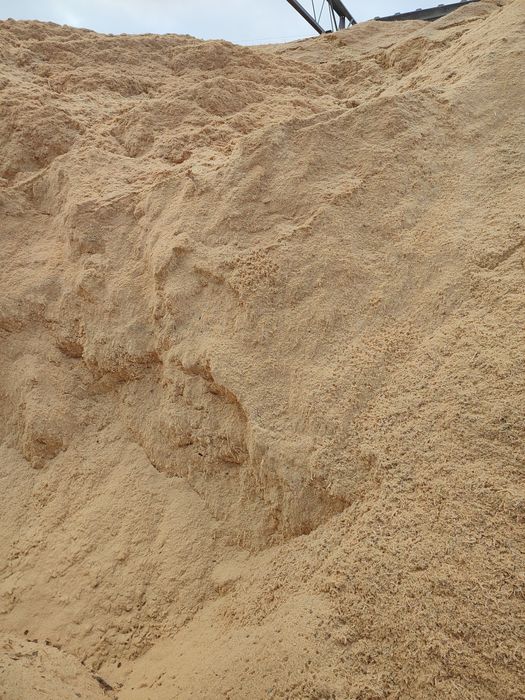 Trocina,trociny,peletu,zrębka,zrebki