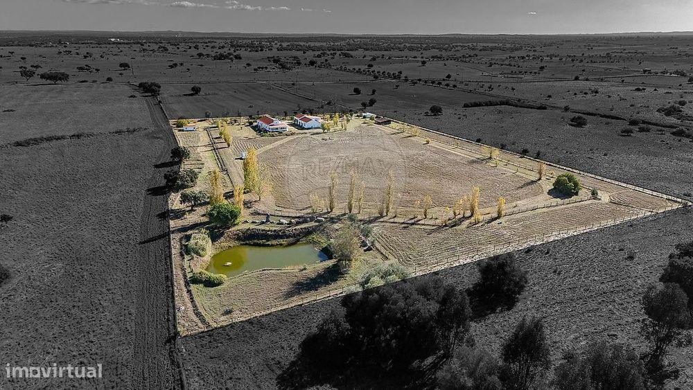 Herdade T6 para venda