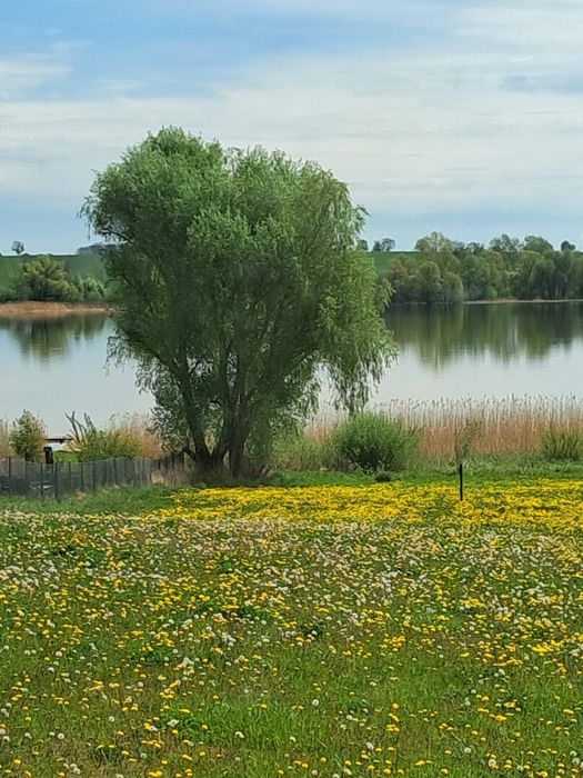 Sprzedam działki rekreacyjno budowlane