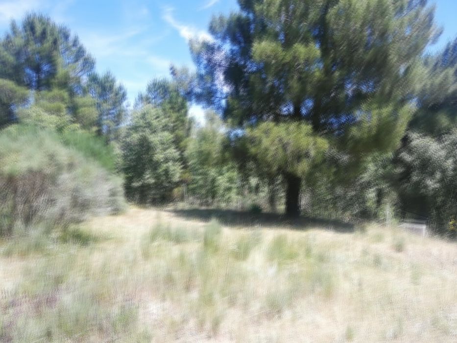 Terreno a 15min da Guarda
