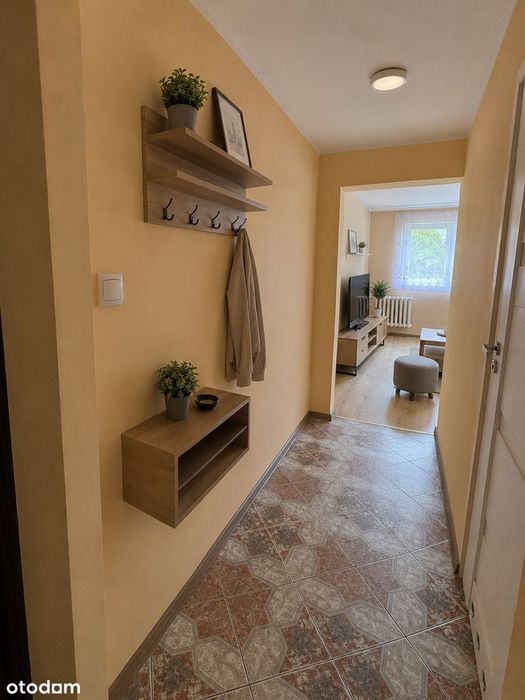 Przytulne i funkcjonalne mieszkanie 36 m² w świetnej lokalizacji. - Widok 5