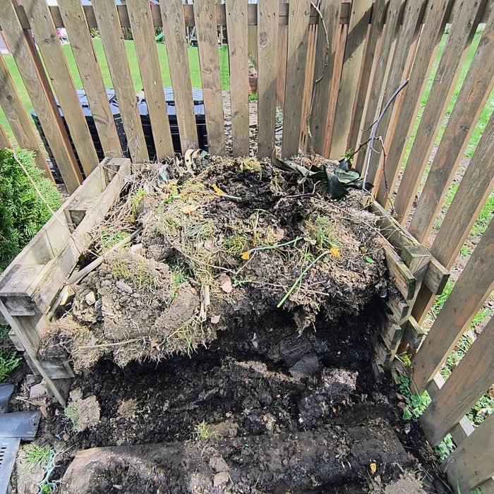 Oddam kompost za darmo