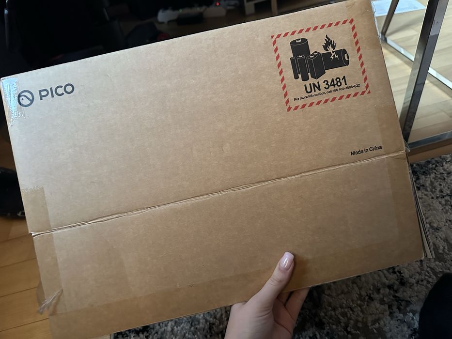 Google VR Pico 4