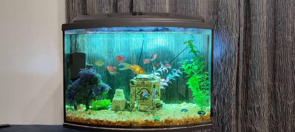 Акваріум+тумба+фільтра+ рибки