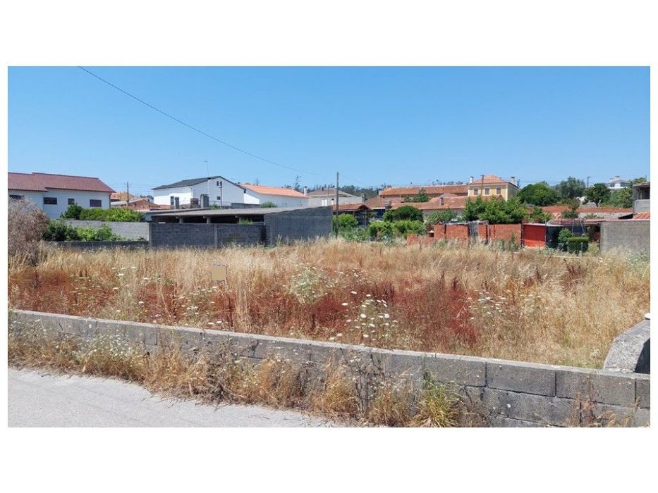 Terreno para construção nas Várzeas - Souto da Carpalhosa