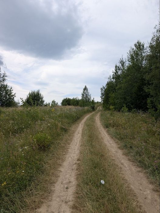 Продаж ділянки під будівництво в горах (Косівський р-н)