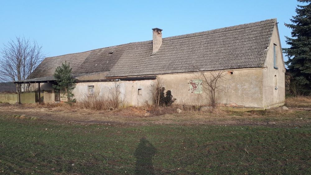 Sprzedam gospodarswo