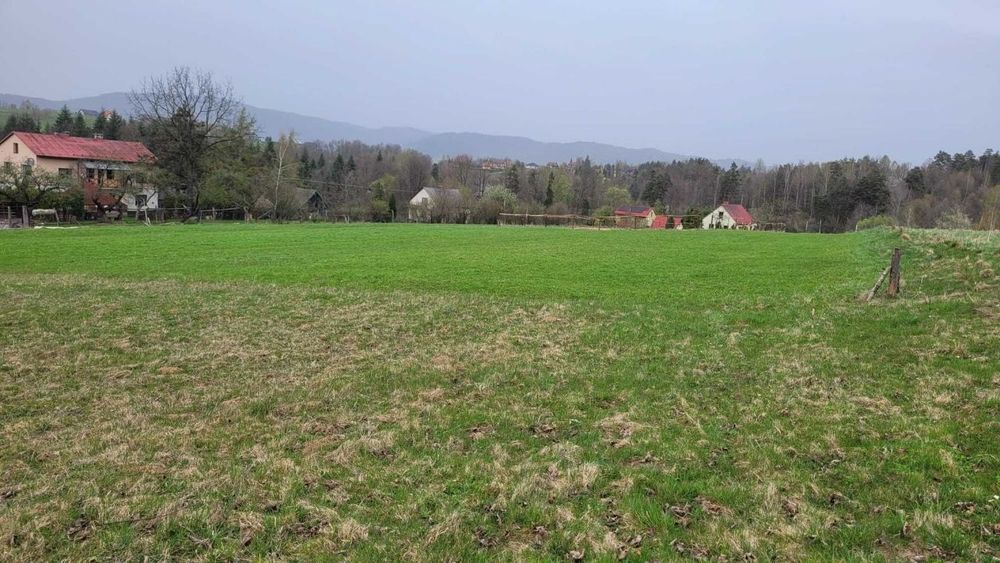 Działka budowlana 1066 m2 Rychwałd