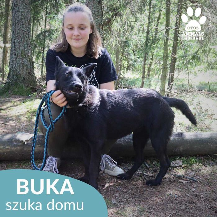 Buka szuka domu !