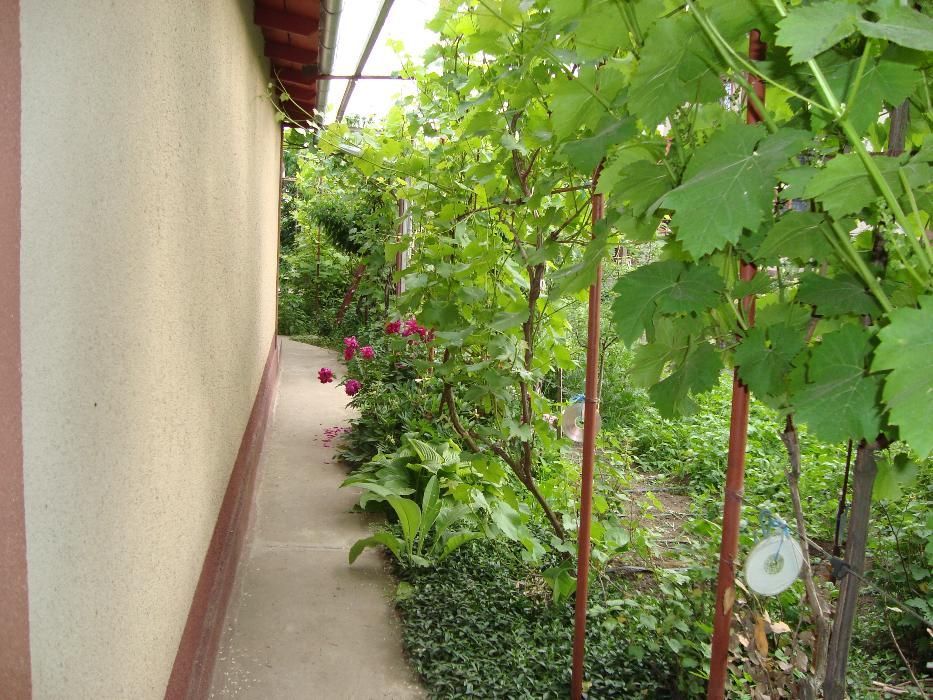 Дом по адресу (площадь 105 м²) - Atlanta.ua - фото 3