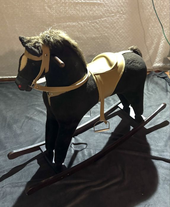 Konik na biegunach
