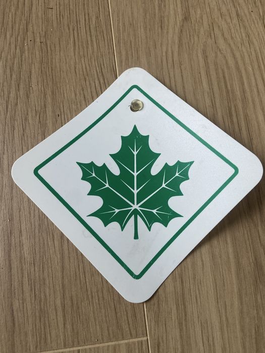 Zielony liść na przyssawce dla nowego kierowcy. Praktyczny dodatek do samochodu