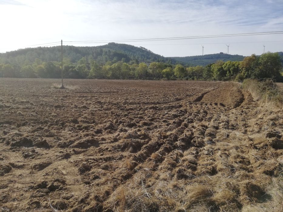 Quinta em Meimoa 9 ha