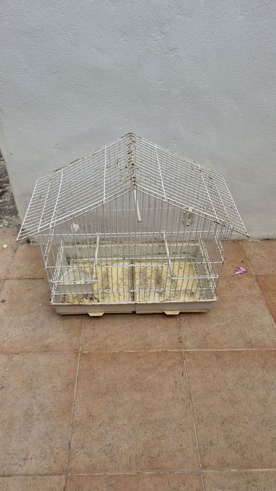 Gaiola grande branca