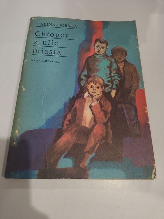 Halina Górska Chłopcy z ulic miasta