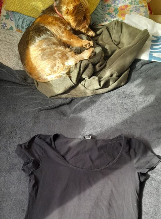 Czarna sukienka H&M basic