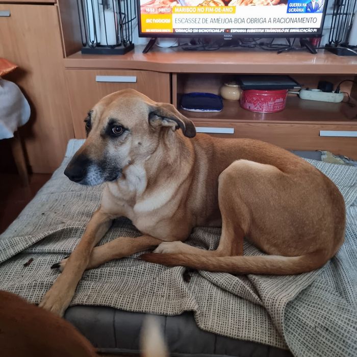 2 manas de 11 meses e uma mãe jovem