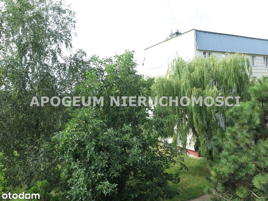 3 odrębne pokoje z widokiem na zieleń