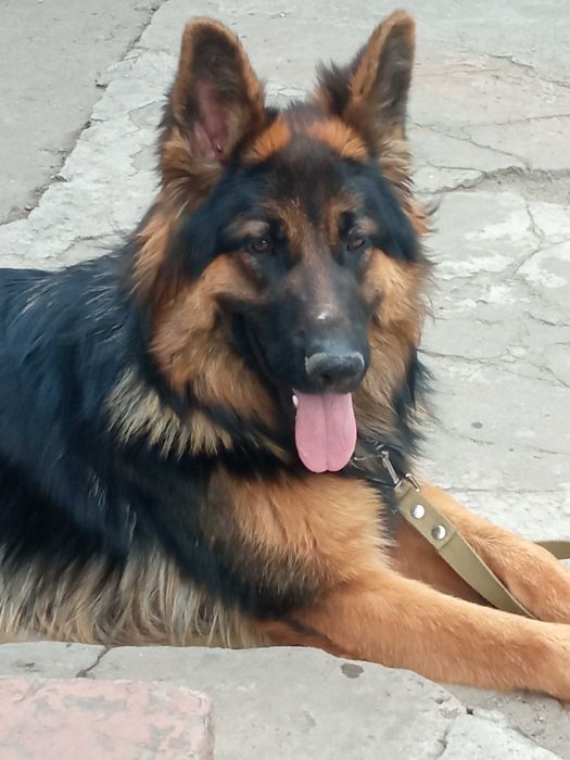 Мальчик ищет девочку для развязки