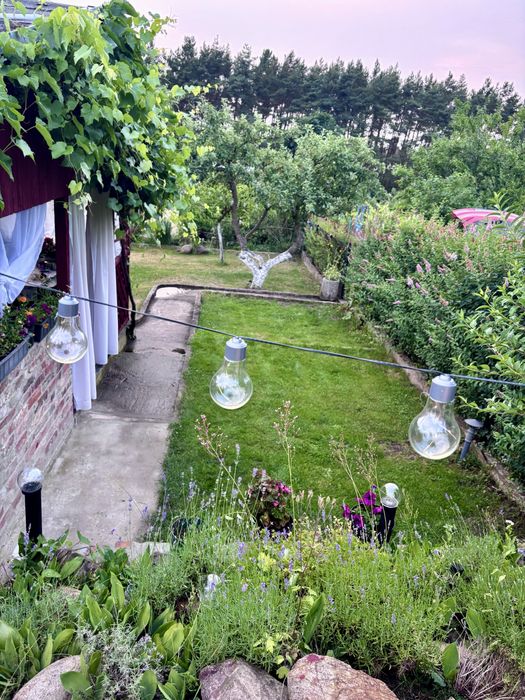 Sprzedam działkę - ROD Wilkanów - Widok 2