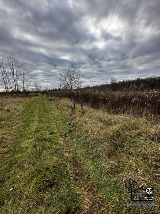 Продається земельна ділянка