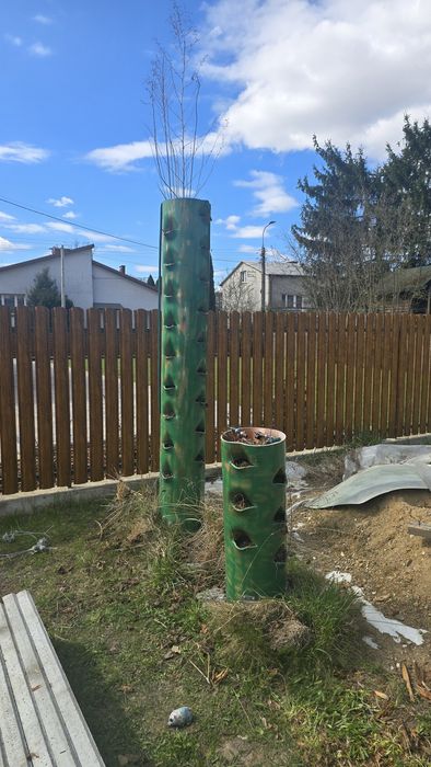 Pionowa uprawa truskawek