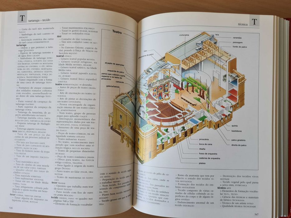 Dicionário Mais - da Ideia às Palavras