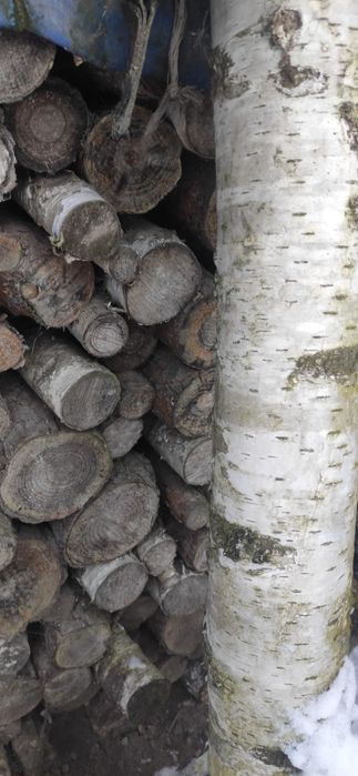 Drewno opałowe suche sezonowane