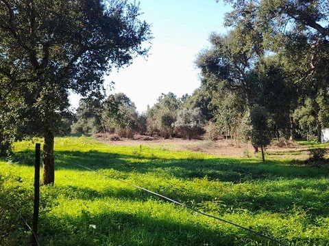 Terreno  400m2 Vilasol