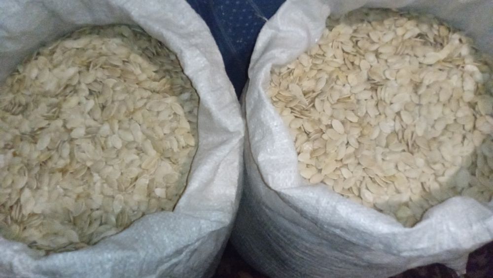 Насіння гарбуза сорту Україньский Багатоплідний