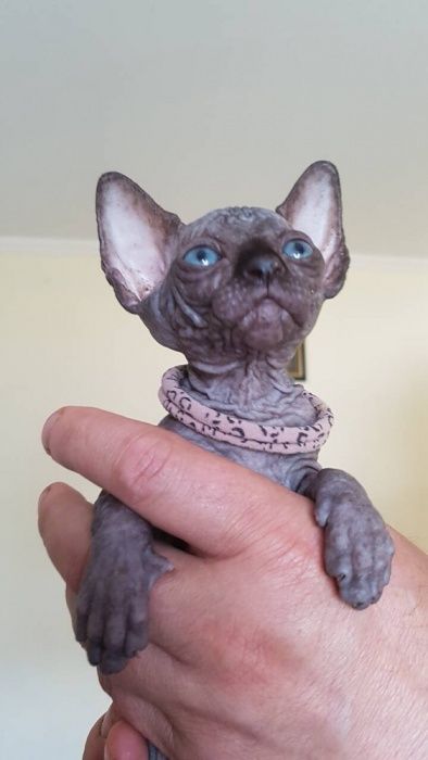 Мальчишки и девчонки