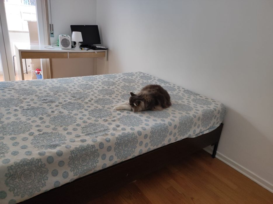 Cama casal ikea + estrado