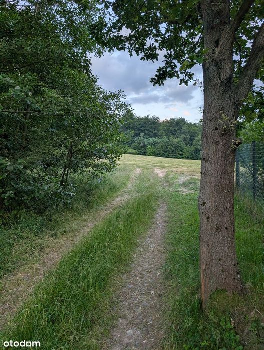 2 działki (0,96+0,46ha) pod wymarzony dom lub agroturystkę, las,  góry