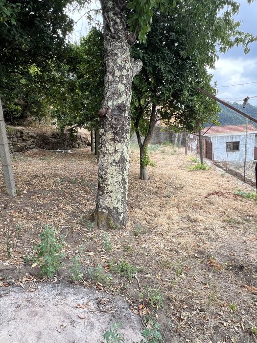 Terreno de Lazer com Vista Panorâmica para o Rio Paiva (1.005 m²) – Souselo, Cinfães