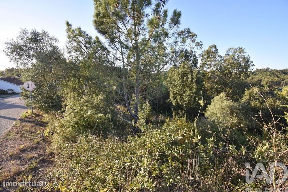 Terreno para construção em Pelariga