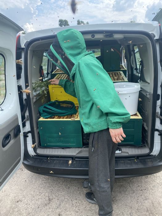 Дуже смачний мед різнотравʼя. Ірпінь безкоштовна доставка!