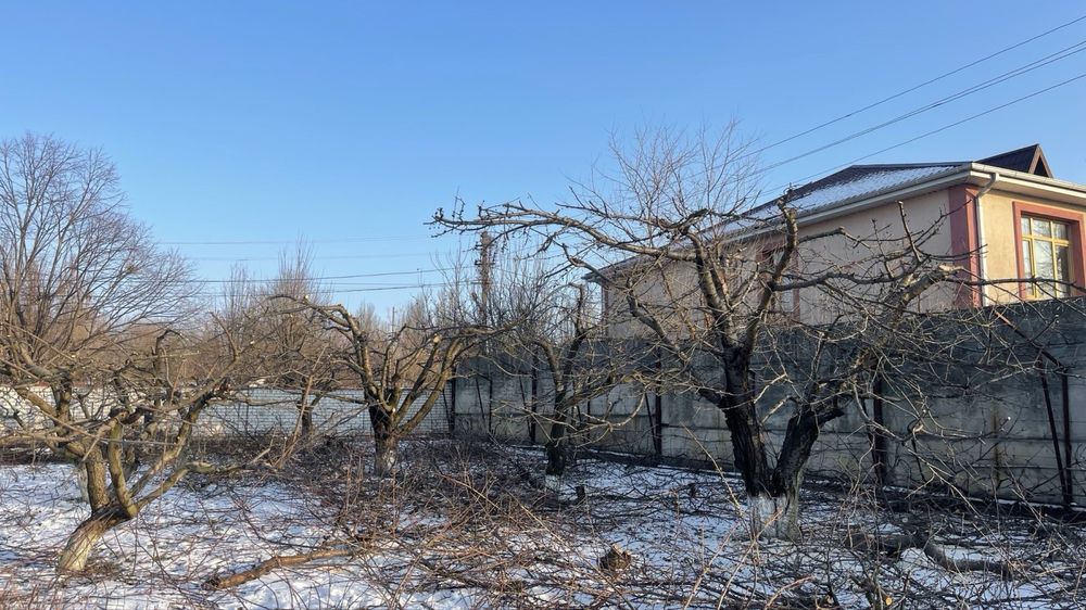 Обрезка плодового сада