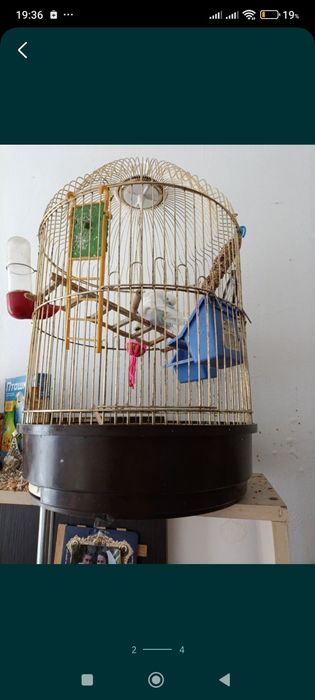 Клетка для попугая