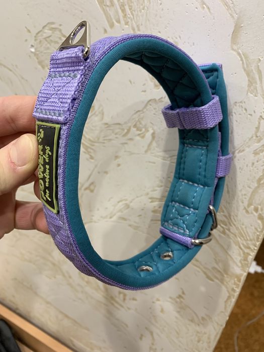 Ошейник и поводок в комплекте