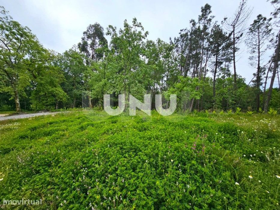 Terreno Rústico - Possibilidade de Construção