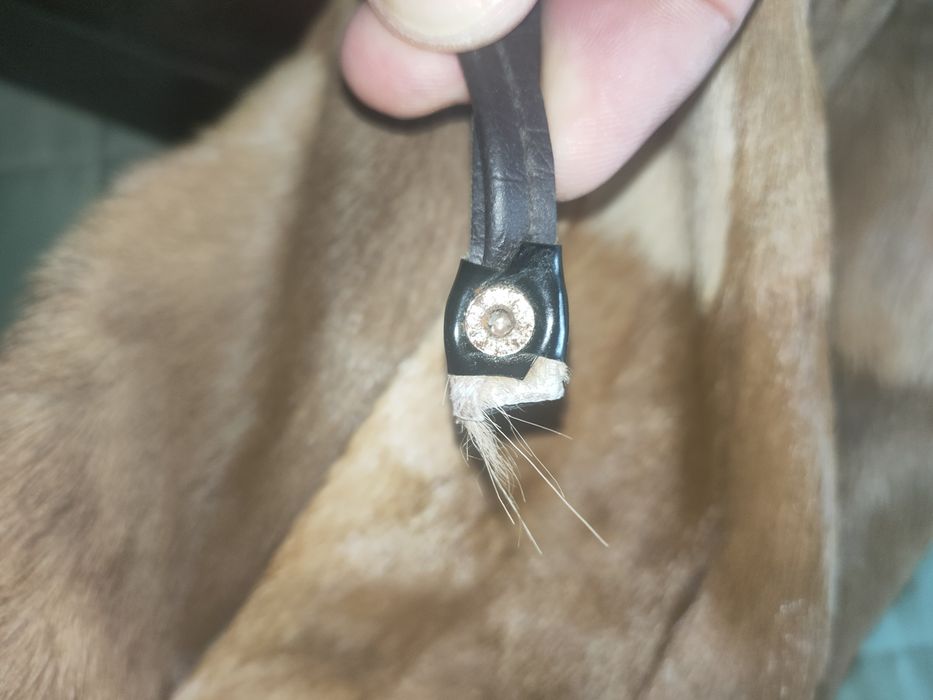 saco em pele vintage